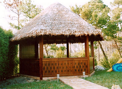 Picture1