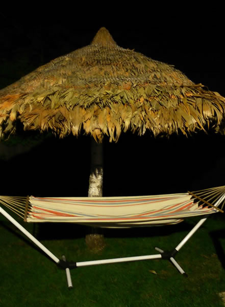 Picture1