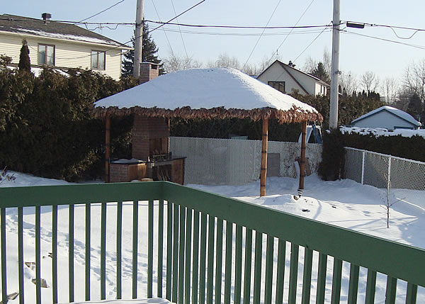Picture1