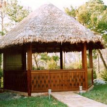 Picture1