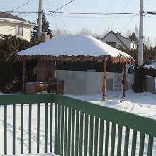 Picture1